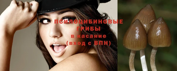 дурь Михайлов