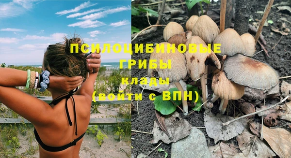 дурь Нязепетровск